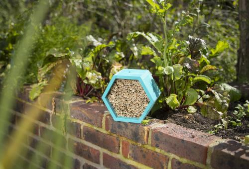A view of an insect hotel on a brick wall